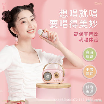 C20Plus Microphone, Speaker, and Audio Integrated Bluetooth Speaker for Karaoke, Children's Singing, and Home Ktv, Bluetooth 5.1