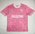 2526 palestine pink