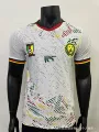 Player 2627 cameroon away game