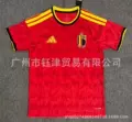 2627 belgium home