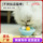 Новая игрушка для кошек tumbler funny cat stick feather self-hey избавляет от скуки, мячик с кошачьей мятой, коренные зубы котенка, забавные принадлежности для кошек mini 2