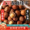 Northeast Wild Hazelnuts New Arrival Bagged Original Thin-Skinned Nut Snacks for Pregnant Women Wholesale Price Liling Specialty Hazelnuts