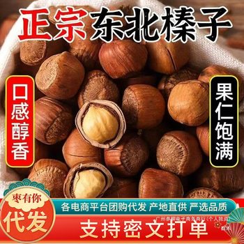 Northeast Wild Hazelnuts New Arrival Bagged Original Thin-Skinned Nut Snacks for Pregnant Women Wholesale Price Liling Specialty Hazelnuts