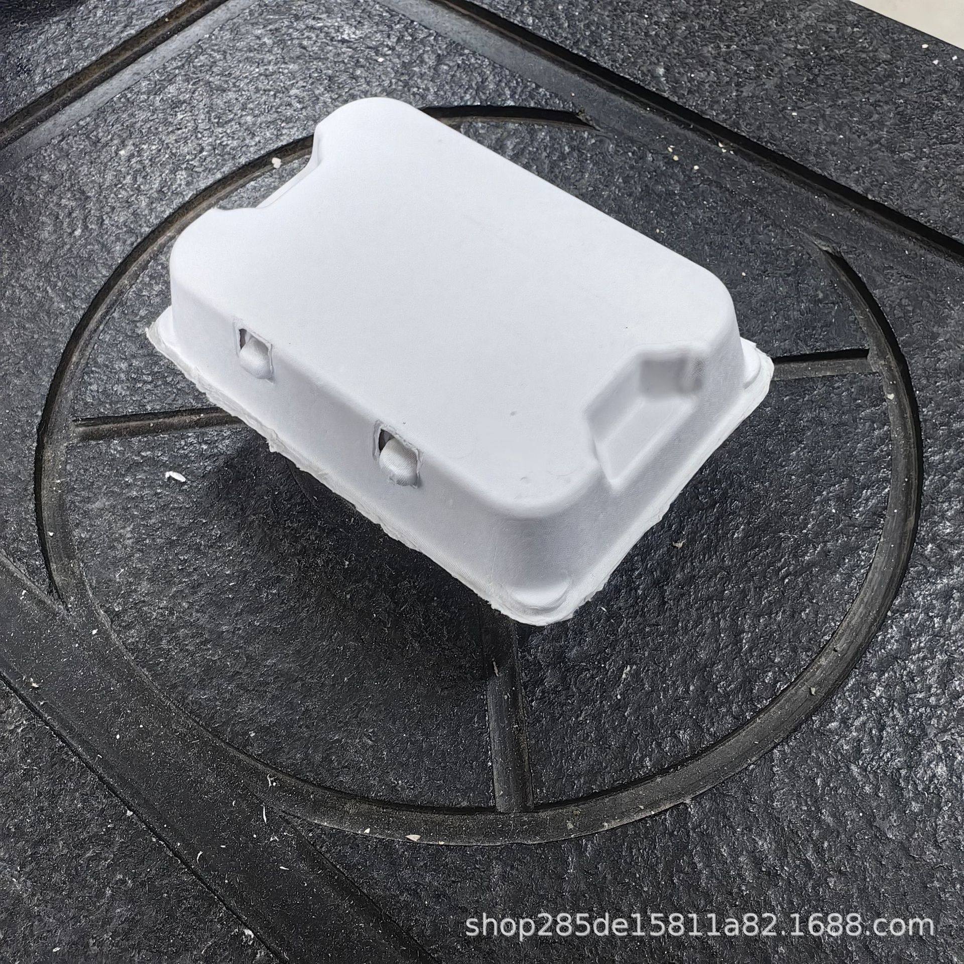 Environmentally Friendly Biodegradable Paper Pulp Molded Egg Boxes, Duck Egg and Goose Egg Boxes, Factory Direct Sales, 6-Piece Egg Container Paper Tray