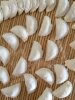 New Creative Crescent-Shaped Dumpling Speeder, Dumpling Maker, Dumpling Mold, Dumpling Artifact, Can Make 18 Dumplings at a Time