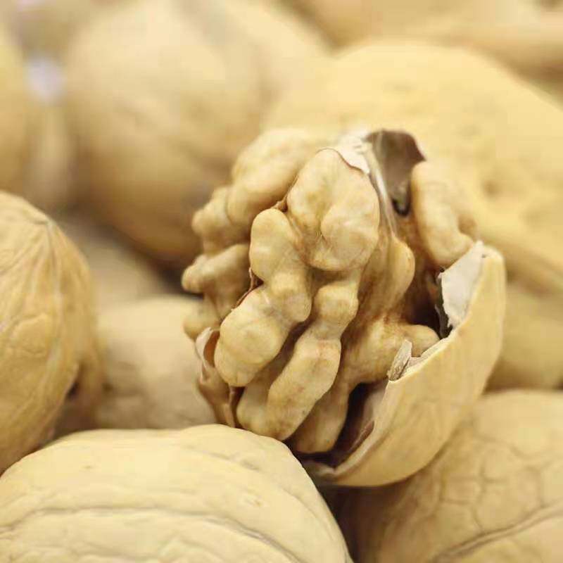 New products in the season Xinjiang thin skin 33 walnut Aksu specialty raw walnut nut raw materials in stock one-piece delivery