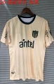 2026 Penarol Beige