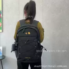 The north face Backpack Borealis