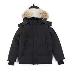 Cross-Border Export Big Goose down Jacket Wyndham29 down Jacket White Duck down 3808m