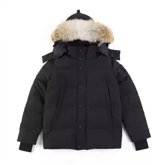 Cross-Border Export Big Goose down Jacket Wyndham29 down Jacket White Duck down 3808m