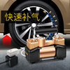 220V home car dual-cylinder electric air pump car tire basketball air column bag pump swimming ring air pump
