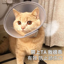 Speed Fat Elizabeth Circle Cat Kitty Neckline Cat Sandal White Pet Pooch Hood Bite Prevention of Licking Shame supplies