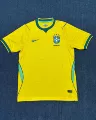 26 Yellow Brazil Home
