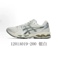 1201a019-200 silver white