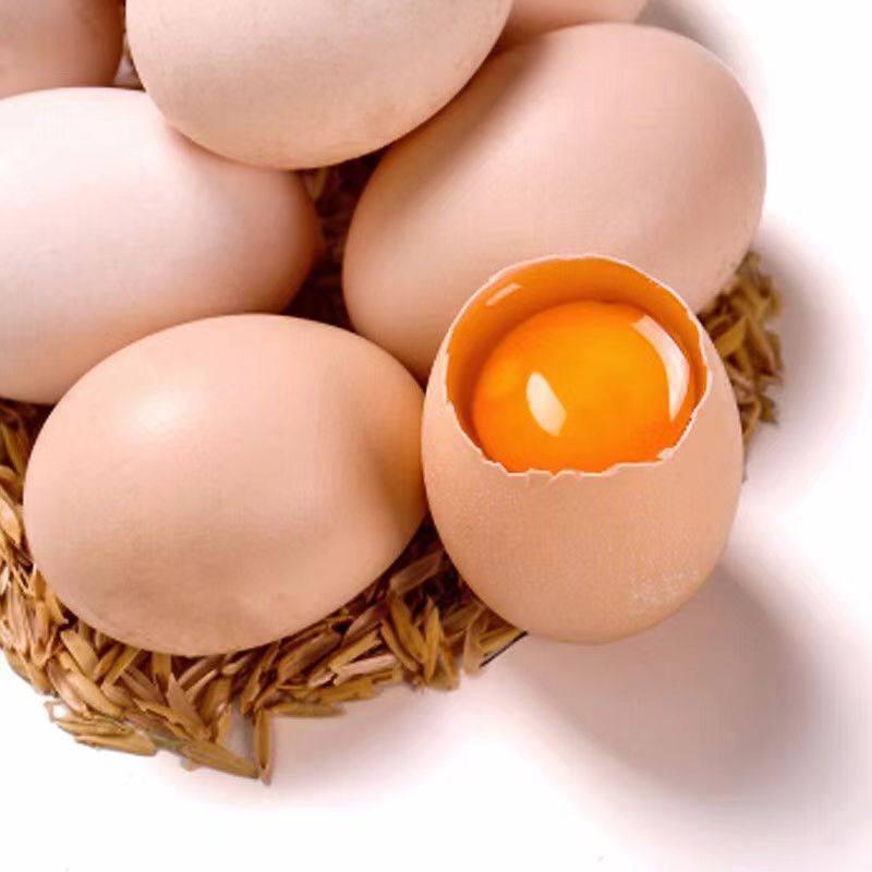 [35G-45G/Piece] Freshly Picked Pink-Shelled Eggs from Farm Mountain Forests, Free-Range Eggs, Fresh Cordyceps Eggs, 4-30 Pieces