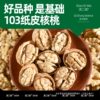 Dian Erwa Yunnan Organic Walnut Kernels New Arrival Original Flavor Raw Bulk No Additives Pregnant Women Nut Snack Walnut Meat