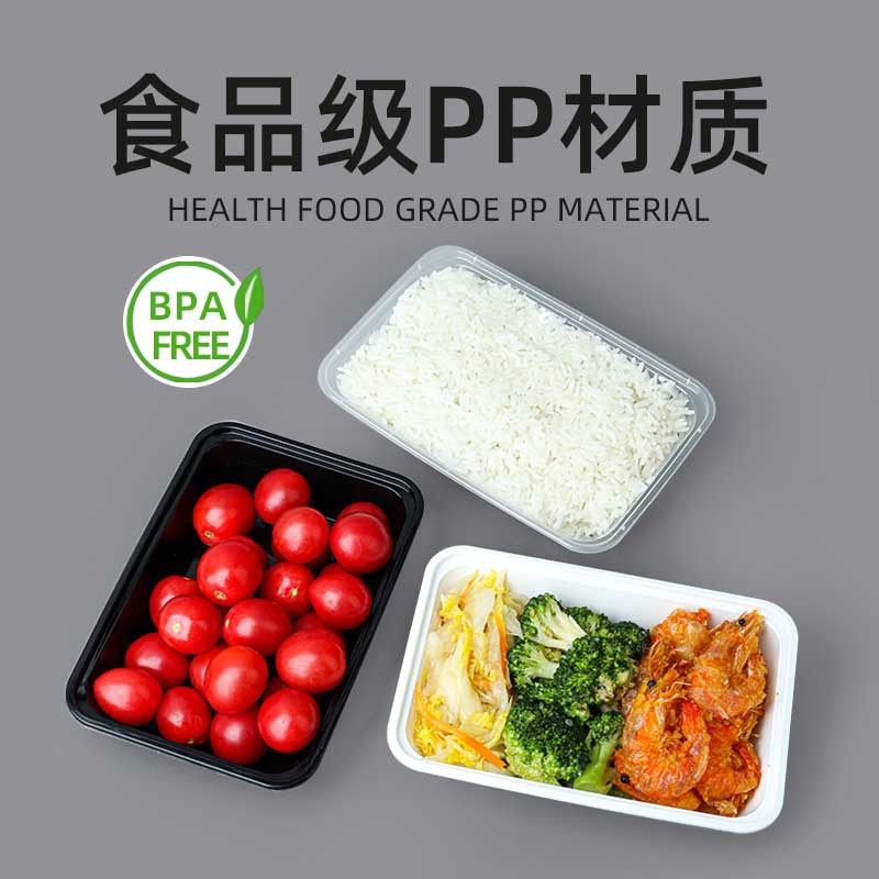Disposable Lunch Box Customized Take-Out Packaging Box Fruit Preservation Rectangular Plastic Lunch Box Food Grade Lunch Box with Lid