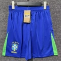 2024 Brazil Home