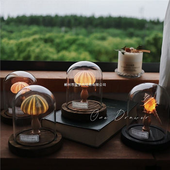 Ocean Island Retro Shell Sea Urchin Conch Lamp Night Light Ornament Handmade Material Pack Mid-Autumn Festival