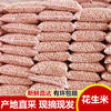 Peanut wholesale season new goods 5kg shell-less peanut seeds selected large particles farm self-growing direct sales