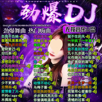 2024 Recently Updated Hot Song DJ Dance Car Music U Disk Popular Internet Popular Chinese DJ No Postage