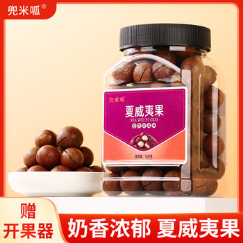 New Arrival of Large Macadamia Nuts Canned 500g Australian Nuts Daily Nuts and Dried Fruit Snacks Wholesale