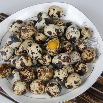160 Pieces of Farm Grains to Feed Fresh Raw Quail Eggs, Fresh 120/50 Pieces/100 Pieces, Free Shipping