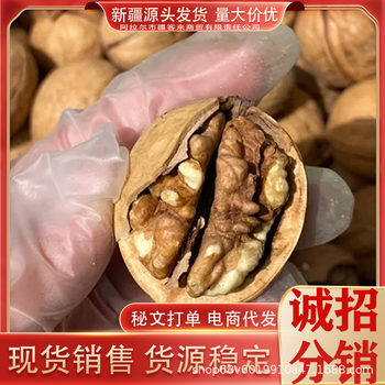 Aksu 185 Paper-skinned Walnuts Raw Walnuts Thin-skinned Walnuts Nuts Hand-kneaded Walnuts Original Walnuts Xinjiang Free Shipping