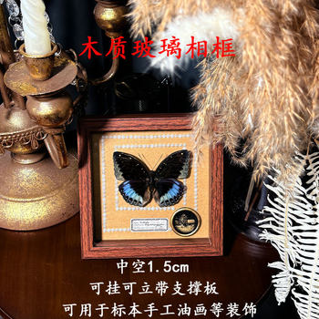 Hollow Photo Frame Empty Frame Square Stereo Butterfly Specimen Photo Frame Table DIY Handmade Insect Display Frame Ornaments