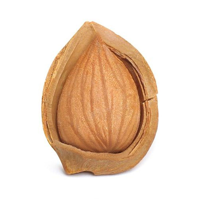 Xinjiang specialty open apricot kernels hand-peeled Kuqa small white apricot cooked almond nuts Kashi raw almond wholesale and retail