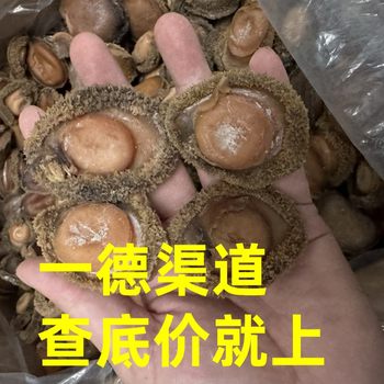 Manufacturer Wholesale Dried Seafood 3-6 Heads, 7-10 Heads, 15-25 Heads South African Abalone with Mellow Taste and Good Dryness