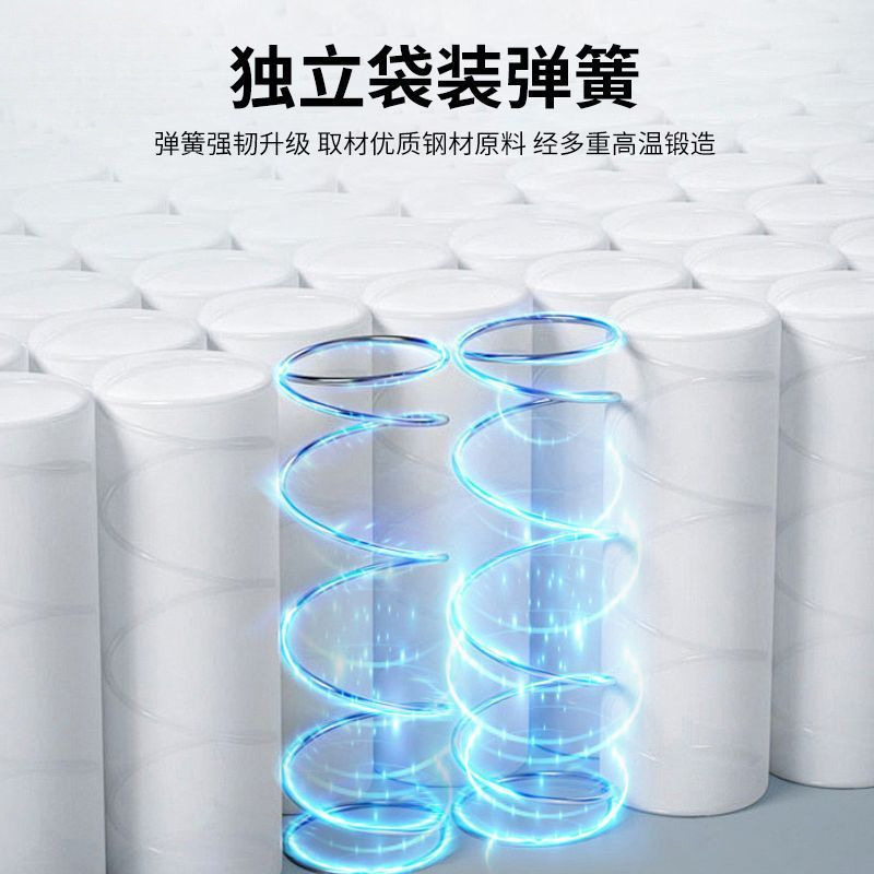 Simmons Mattress for Home Use, Dual-Purpose Soft and Firm, 20cm Thick, Double, 1.95m Economical Spring Mattress for Rental Apartments