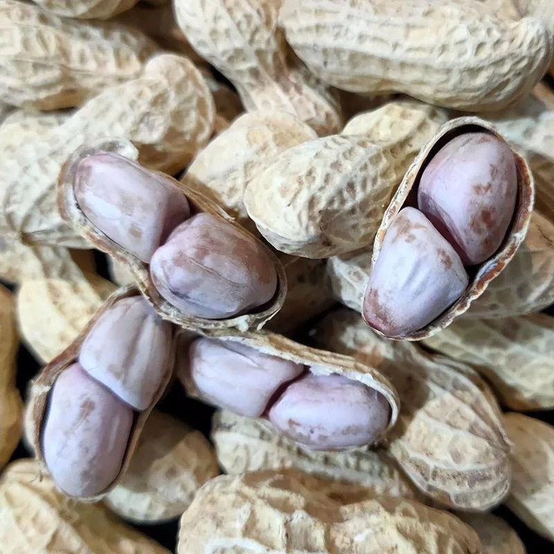 Longyan Wholesale Peanuts 500g White Sun-Dried Salted Garlic-Flavored Five-Spice Peanuts