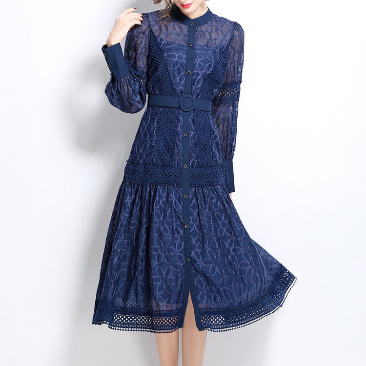 Vintage Embroidered Lantern Sleeve Dress Spring Collection Waist Cinching A Line Button Closure Elegant Occasion