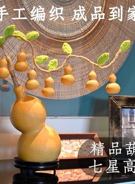 天然葫芦发财树一根葫芦藤上七个葫芦娃摆件客厅卧室装饰工艺文玩