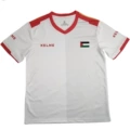 2425 palestinian national team away