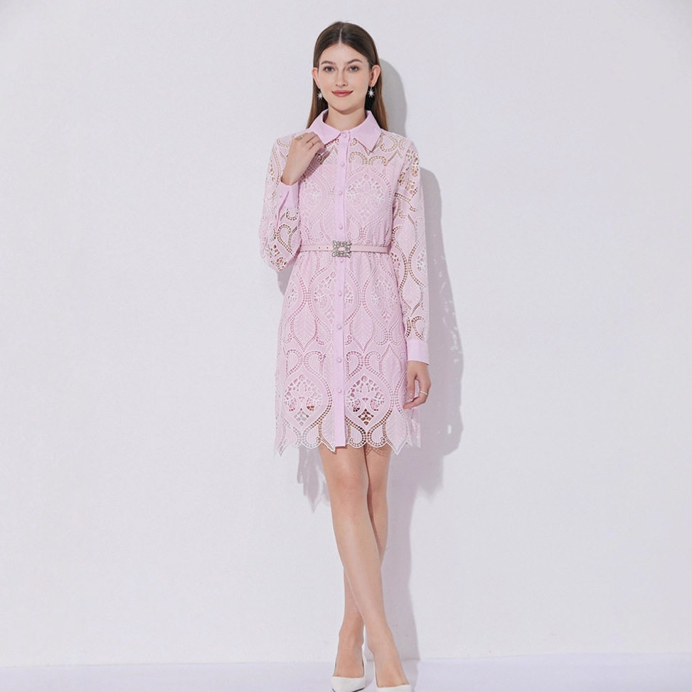 French Style Elegant Embroidered Lace A Line Dress Hollow Out Waist Defined Single Breasted Perfect for Spring Summer