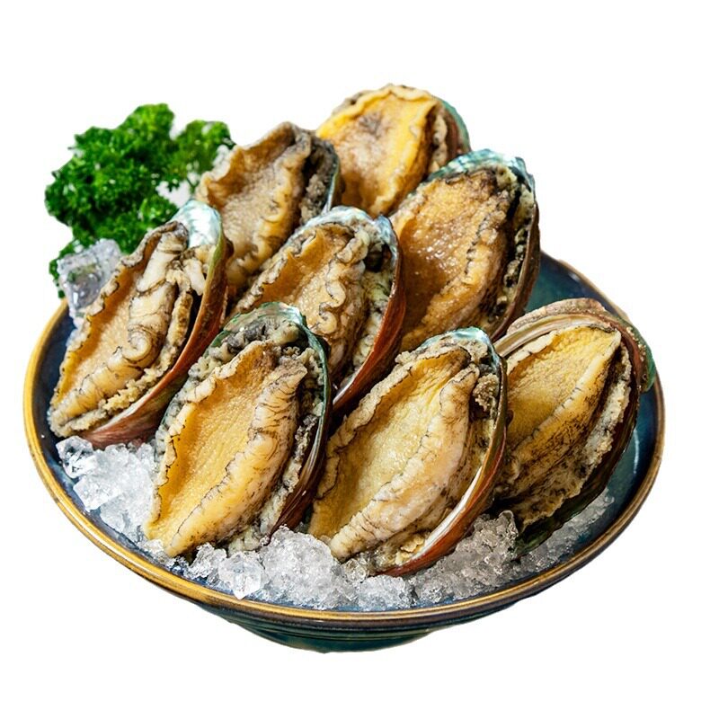Captain Jiang's Gutted Cooked Frozen Abalone with Teeth Removed and Substituted for Internal Organs 260g 8 Capsules Packed with Liquid Nitrogen to Lock in Freshness, Self-Sold by Fujian Manufacturer