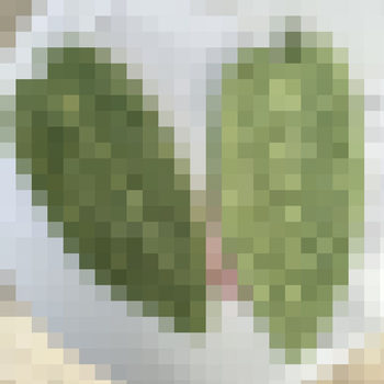 Cross-Border Supply Popular Hand Towel Kitchen Cleaning Gift Household Soft Absorbent Decontamination Hanging Temu