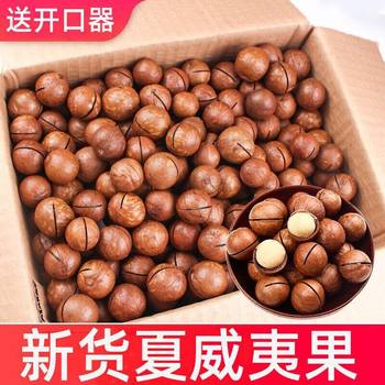 Net Weight Processing] Milky Macadamia Nuts New Arrival Creamy Large Particle Nut Snack Bag Gift Box Wholesale