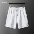 29095 white