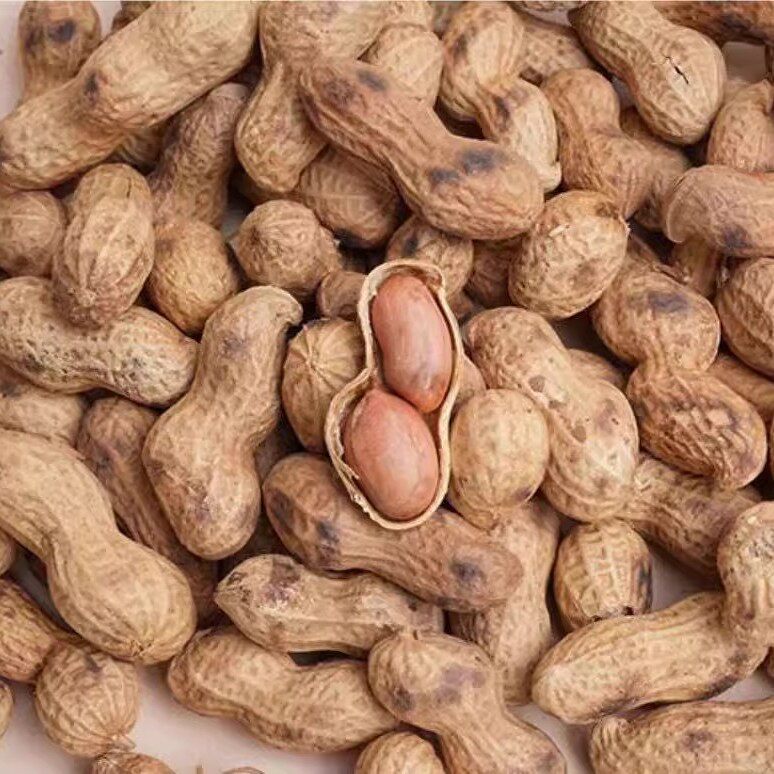 Farmhouse Iron Pan Roasted Peanuts with Shells, Original Flavor, Firewood Roasted Melon Seeds, Peanuts, Snacks, Leisure Food