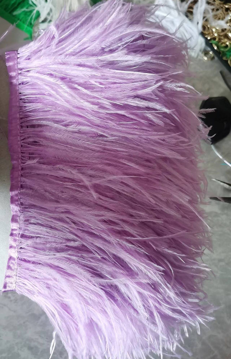 Hoa violet