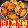 [Great Deal] Ready-To-Eat Large Canned Abalone Spicy Sauce Small Seafood Ready-To-Eat Canned Oysters and Scallops