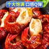 Freshly Frozen Large Lobster Tails, Fresh and Spicy, Headless, No Ice, for Catering, Commercial Wholesale, Hot Pot Ingredients, Crayfish