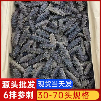 6 Rows of Thorny Sea Cucumbers D6 Dalian Liaoning Sea Cucumbers 30-70 Heads Dried Sea Cucumbers Wholesale 6 Times Soaked