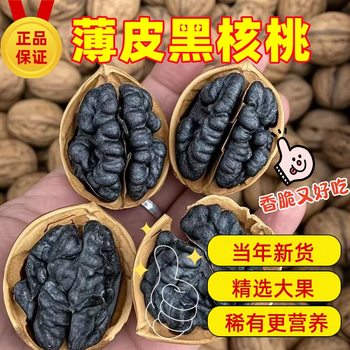 Specialty Thin-Skinned Black Walnut Xinjiang Black-Skinned Walnut Thin-Shell Paper-Skinned Fresh Original Nut Snacks Clearance Walnut-Free