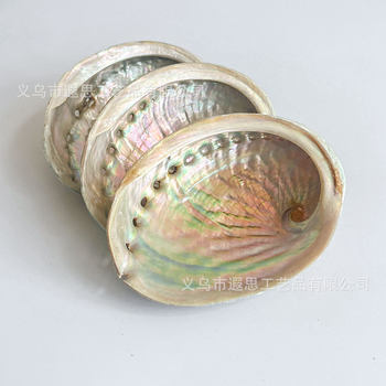 Natural Conch Abalone Shell Sage Aromatherapy Burning Container Shell Wholesale Creative Home Decoration Decorations