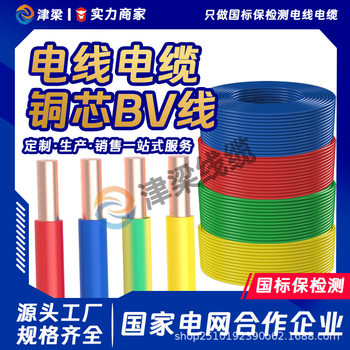 Source Factory Bv Home Decoration Wire 4/6/10 Square Wire National Standard Copper Core Generator Cable Socket Power Cord
