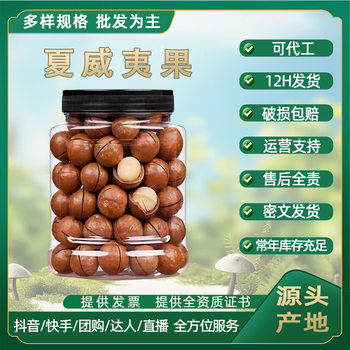 New Hawaiian Macadamia Nuts [Dropshipping] Creamy Large Granules with Can Heavy Nuts Dried Fruits Roasted Goods Wholesale New Year Goods